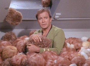 Tribble, the furry creature, not to be confused with Tribidrag, the grape. Photo Source.