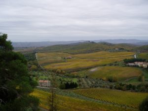 Fall overlooking the vines of Castello di Brolio 