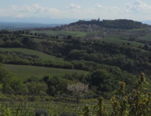 Le Marche, April 2011